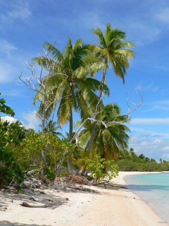 81- Notre plage deserte 